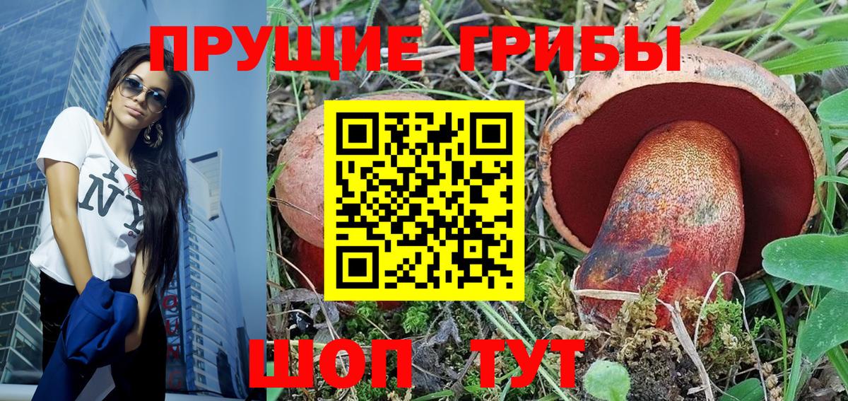 Псилоцибиновые грибы мицелий  где купить наркоту  Волжский  Галлюциногенные грибы прущие грибы  Вход с VPN 